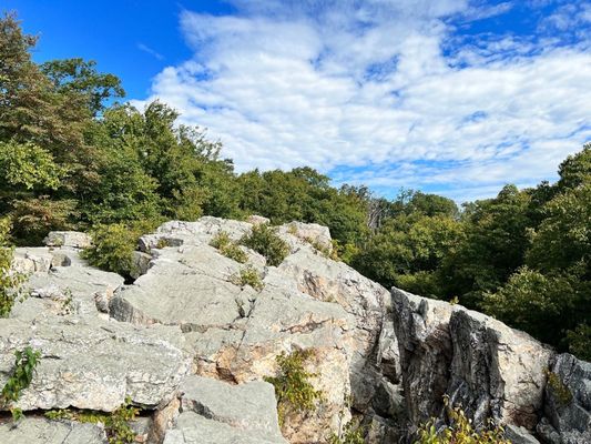 Catoctin Mountain Park