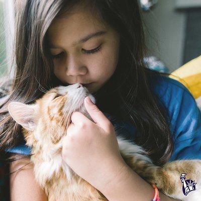 Protect your pets as if they're a part of the family. For help finding the right coverage for your furry friend, message me here!