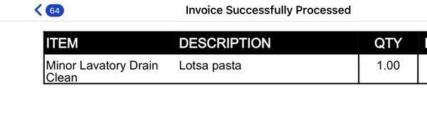 Invoice description with a sense of humor