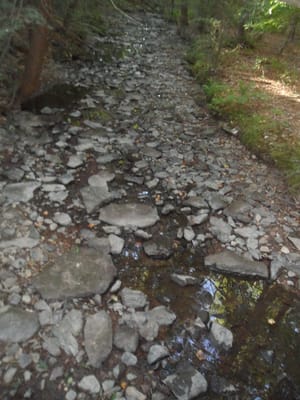 Strawberry Hill Nature Center