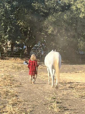 Horses are good for littles.