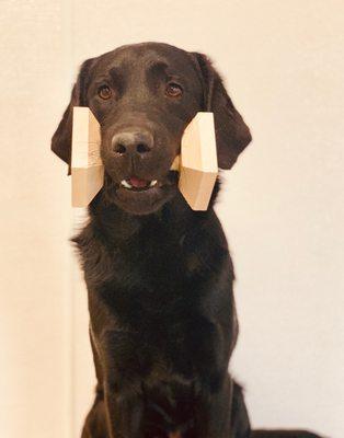 Rusty practices holding a wooden dumbbell