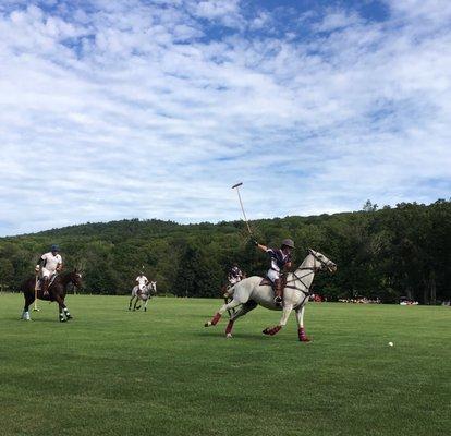 Horses thunder by the sideline.