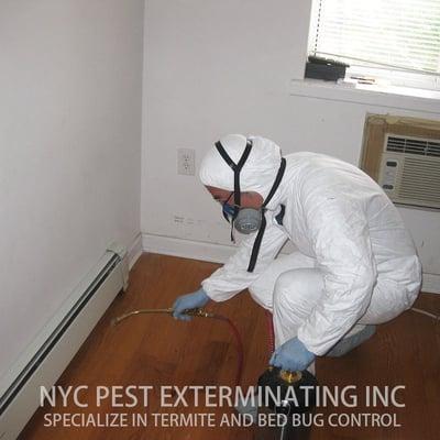 NYC Pest Exterminating