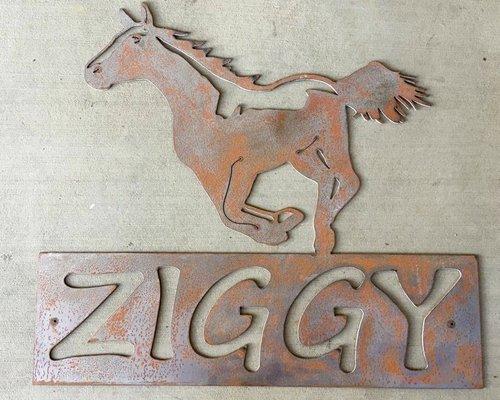 Custom sign done for a horse stall 2ft x 2ft $140