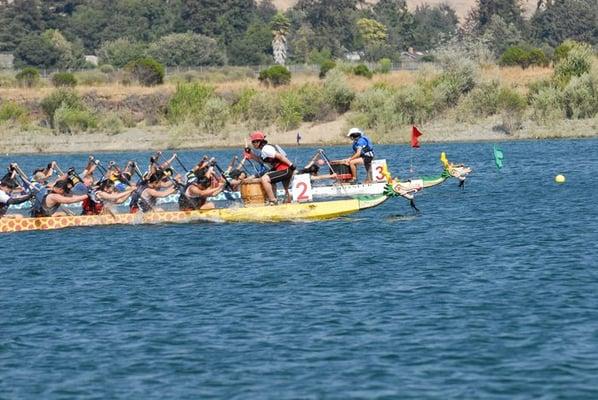 Bay Area Dragons - Dragonboat Racing