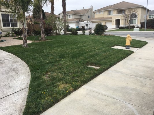 Another happy client. If you need lawn care call 831-673-1043