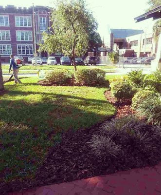 Commercial Maintenance & Landscaping