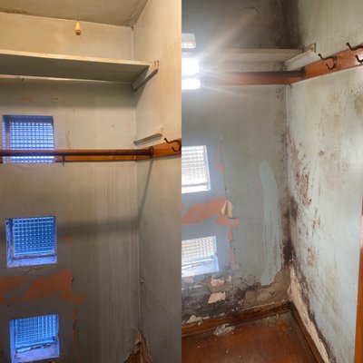 Mold cleaning