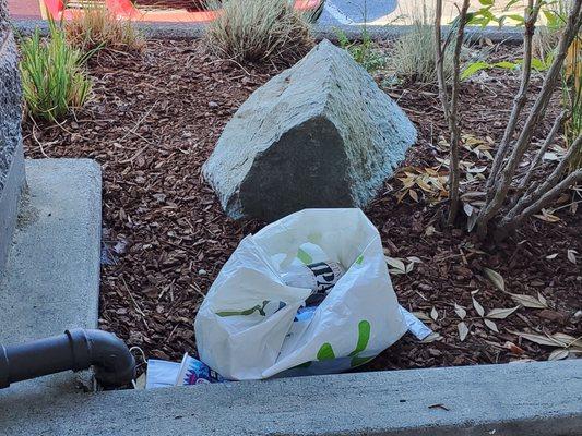 Another days trash outside  my shop