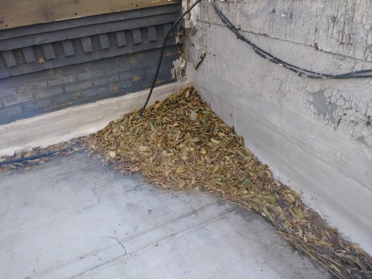 LEAVES LEFT ON ROOF CAUSES DAMAGING WET SPOTS