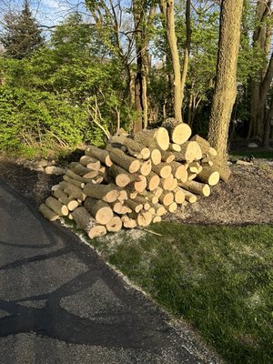 Neatly stacked pile of wood