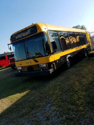 BUS NITE HOUND holds up to 26 passengers