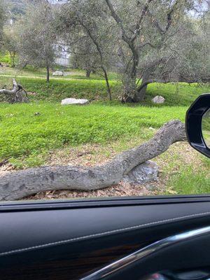 Scenic drive through the camp.