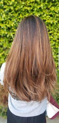 Color, highlights and haircut