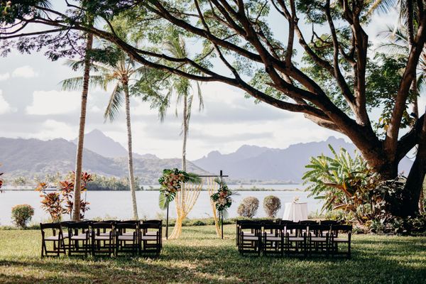 Dark Brown padded chairs