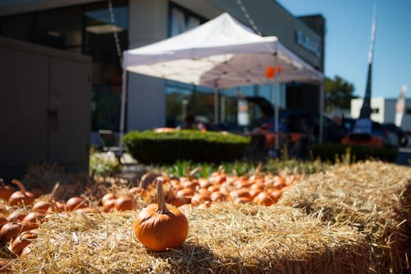 Fall Customer Appreciation Cookout - Free pumpkins!