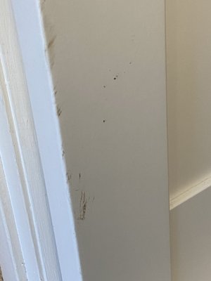 Barn Door Damage