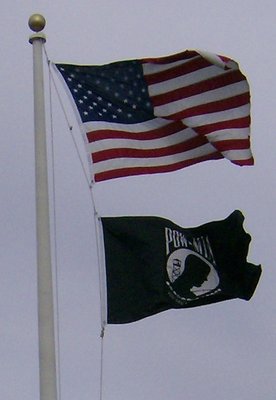 Commercial Quality flags for your in ground flagpole