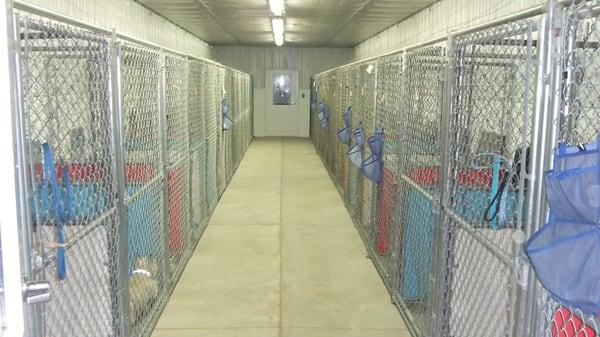 Inner portion of the kennel.  It has air conditioning and heating to keep pets comfortable year round.