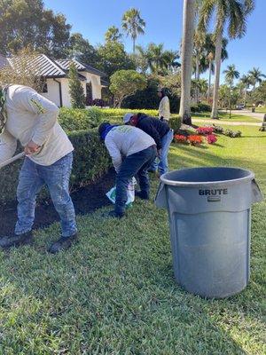 Annual plants installation