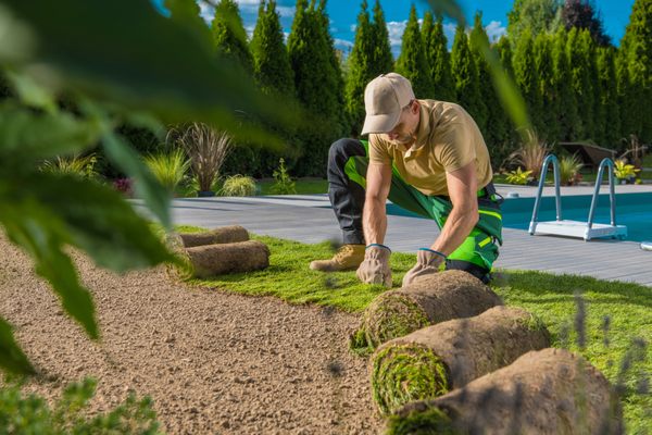 We help you with your landscaping needs and lawn care. We make sure all utilities are connected and paid on time!