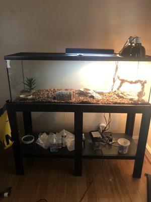 Purchased 65 gallon terrarium & table holder @ TropicalImports! Ed, my bearded dragon, loves it!!!