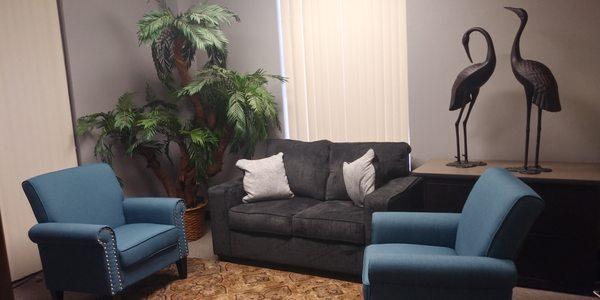 Comfortable Counseling Office