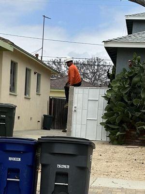 Guy hopping fence  while we are home without asking