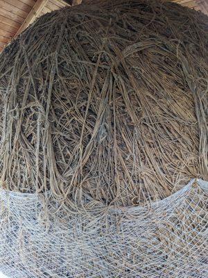 World's Largest Ball of Twine, Darwin