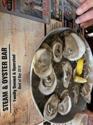 Huge oysters