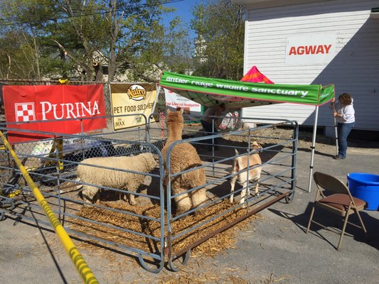 Animal feed and Pet supplies at sister store Blairstown Agway(next door)