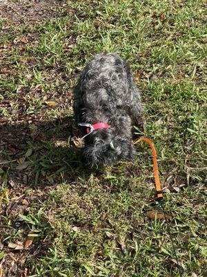 Enjoying Thanksgiving day picnic