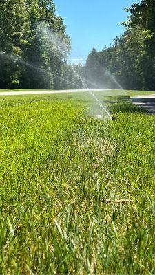 Dogwood Irrigation