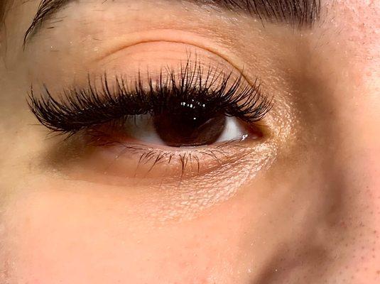 Hybrid lashes