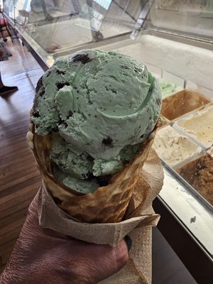 Small mint oreo waffle cone