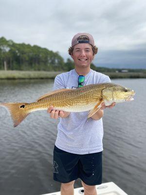 Redfish in Choctawhatchee bay