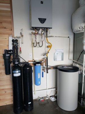 Whole home water filter system