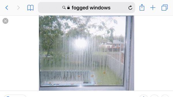 Fogged window