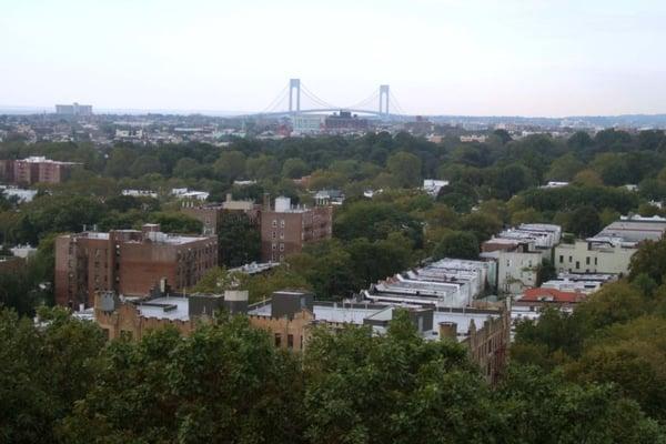 Windsor Terrace with Verrazano Bridge in the background