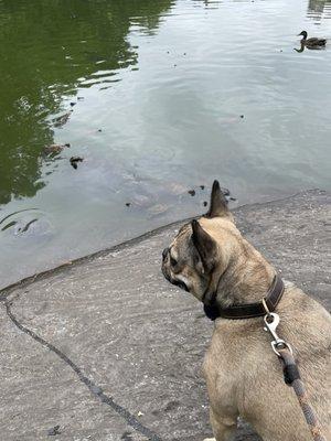 Visiting her friends