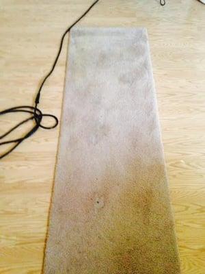 Before and After Soiled runner, spots and stains present, not cleaned in 18 months