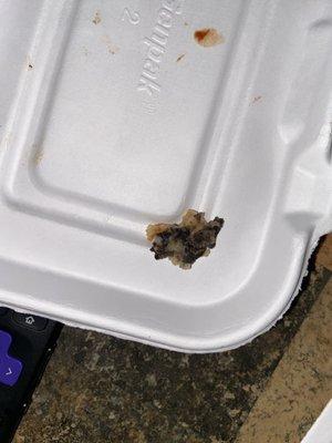 Black thing found in wings/lumpy