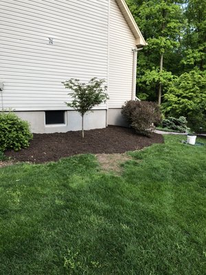 Installation of mulch