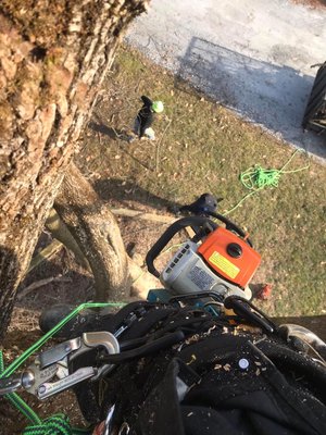 Jeremys Tree And Lawn Service