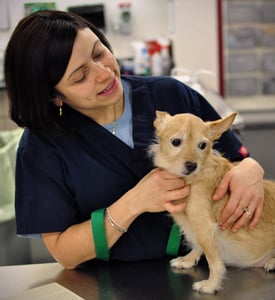 From the ICU to surgery, we have your pet's medical needs covered.