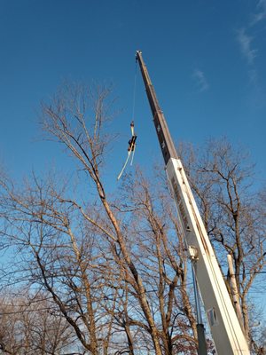 Just doing some hazardous tree removal with the crane,we prioritize safety and professionalism for every job that we do