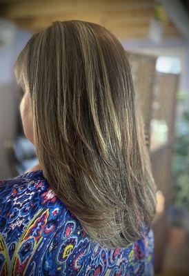 Partial highlights, toner, and women's cut!