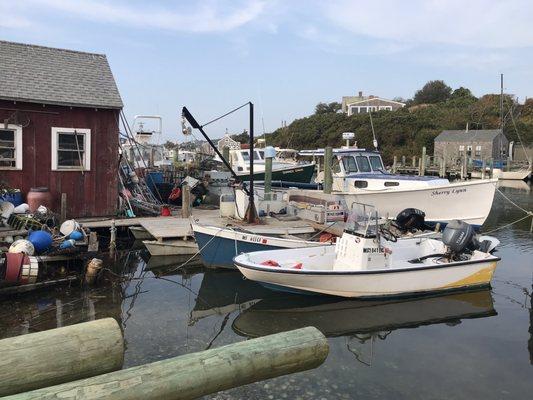 Menemsha Harbormaster