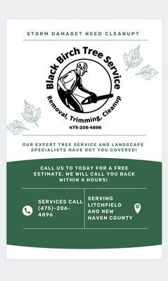 Black Birch Tree Service